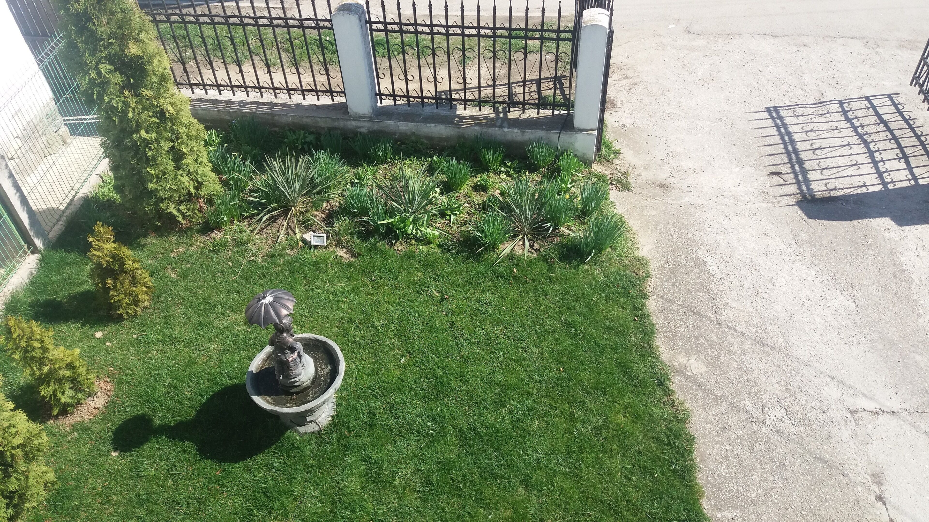 Een verzorgd gazon met een standbeeld van een persoon met een paraplu, omringd door diverse planten.