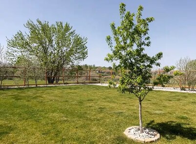 Enjoy a quiet homestead close to town