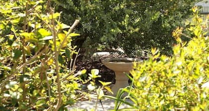 Pet friendly accommodation in the Barossa