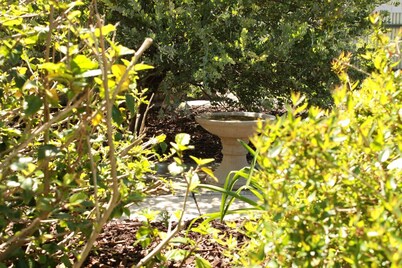 Pet friendly accommodation in the Barossa