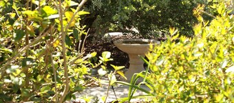 Pet friendly accommodation in the Barossa