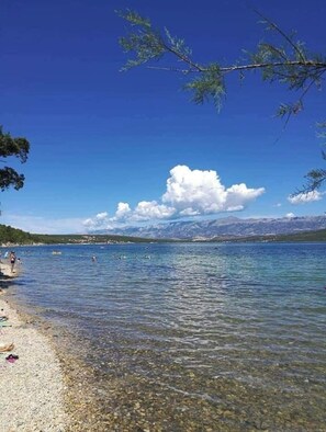 Ranta