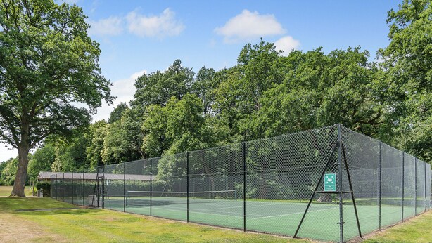 En tennisbana med staket och grön yta, omgiven av träd och en gräsyta.