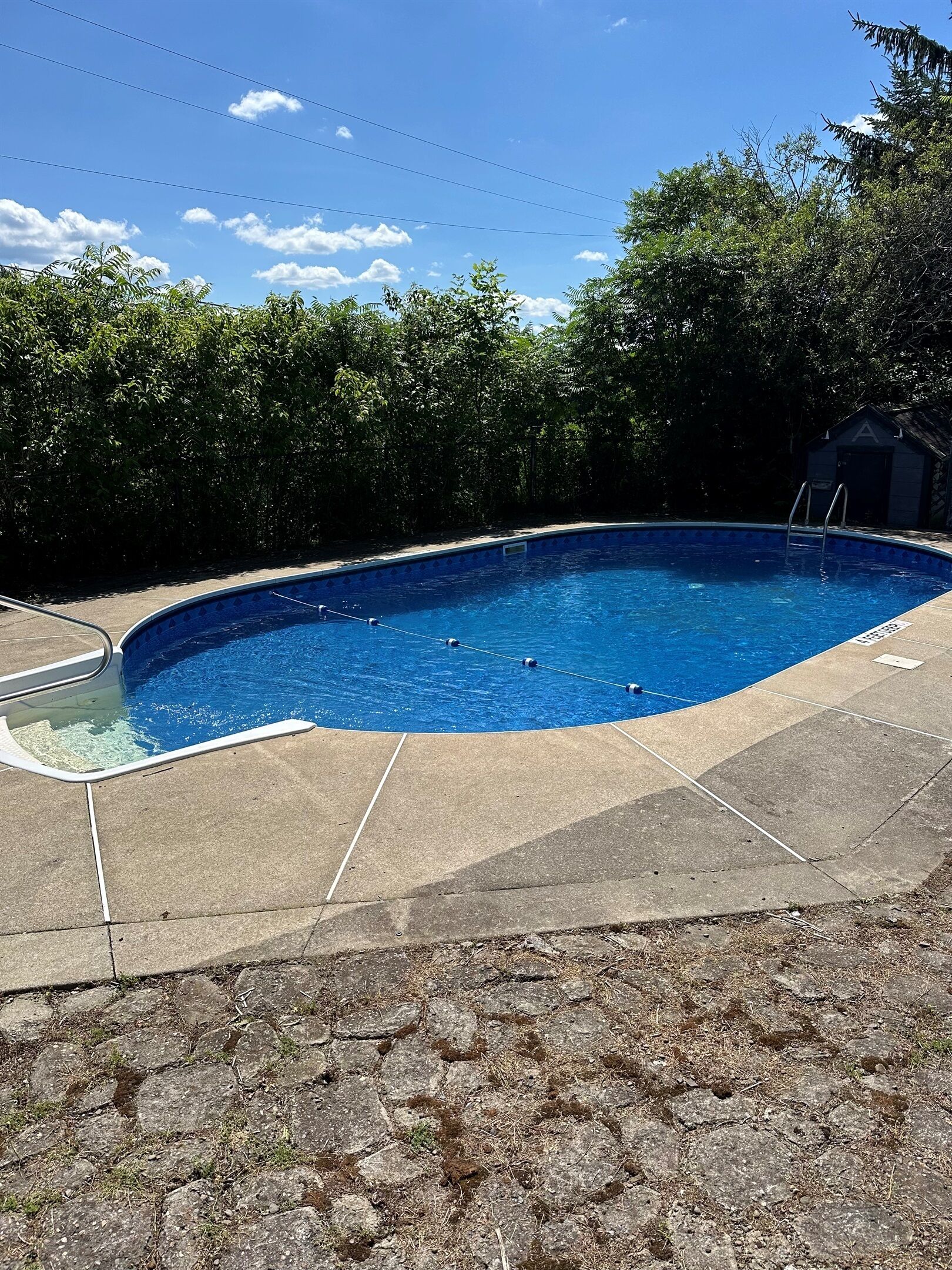 A rectangular swimming pool with a ladder on one side, surrounded by a stone deck and a hedge.