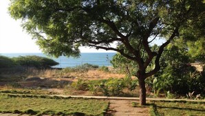 A paved pathway leading to a tree-lined area with a view of the ocean. - Joppa House (Nagercoil)