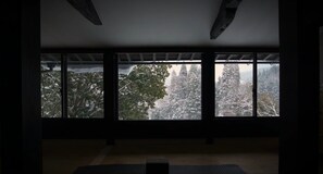 Luxury Suite, River View | View from room