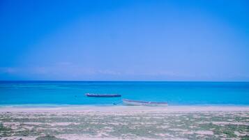 På stranden och vit sandstrand