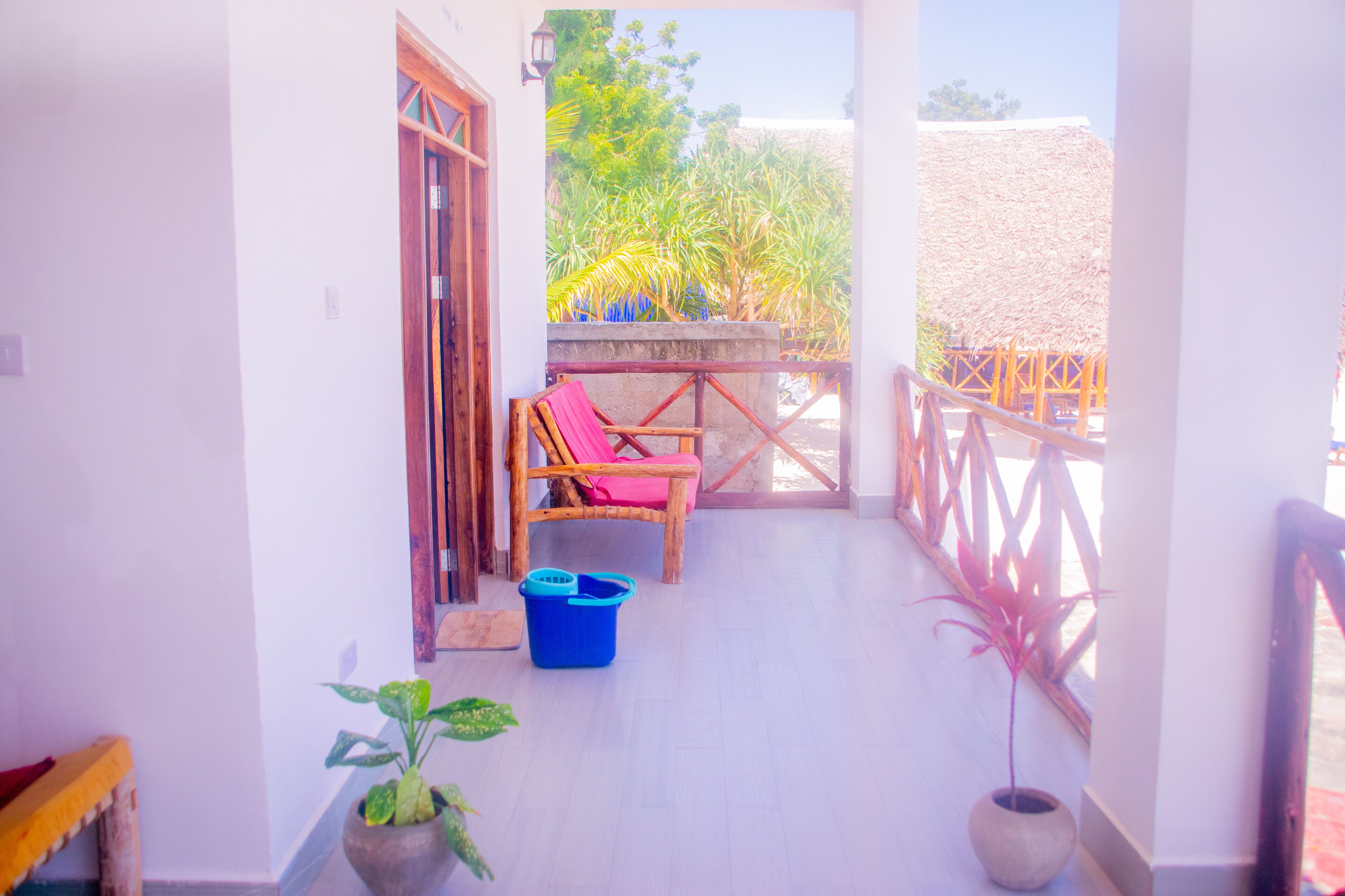 A balcony with a wooden chair, a blue bucket, and a potted plant.