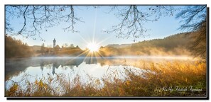 Uklassifisert bilde, 4 av 12, knapp