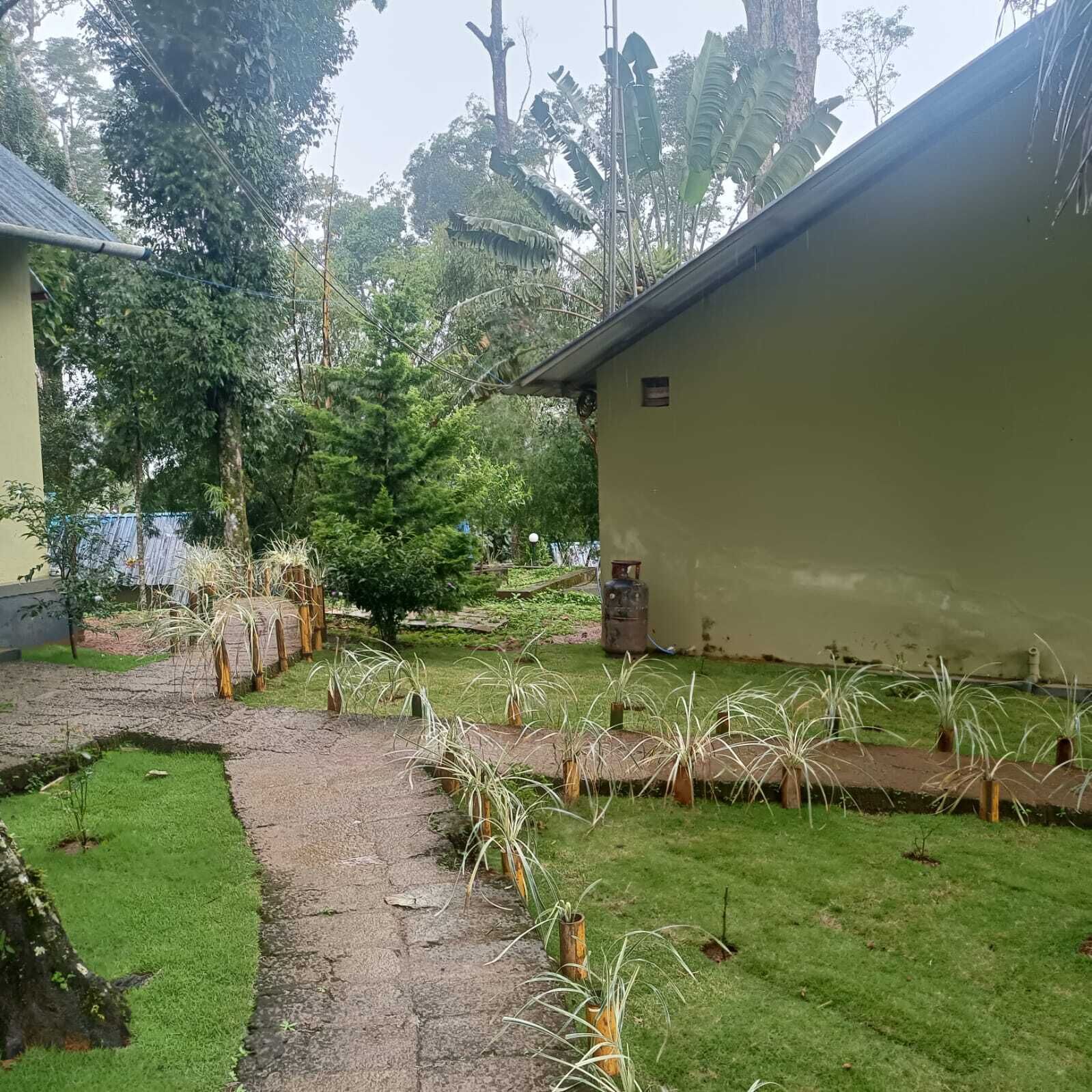 Un jardín con un sendero pavimentado, plantas en macetas y un edificio con fachada verde.