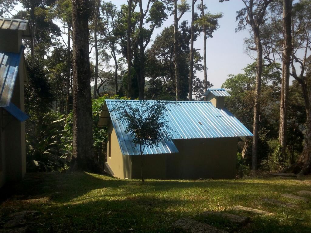 A building with a blue roof, surrounded by trees and grass.