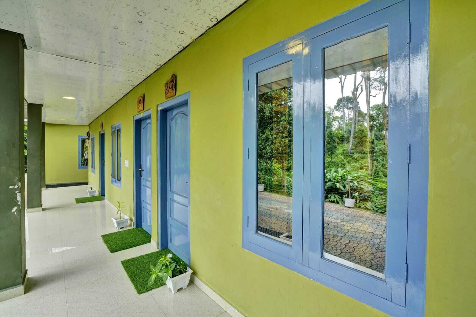 Un pasillo con paredes amarillas, puertas azules y plantas verdes.