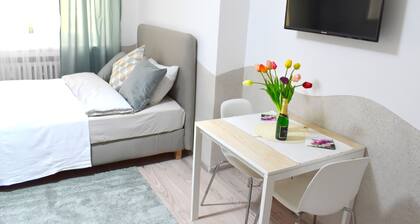 Charming 1-bedroom apartment in phenomenal Hlavní město Praha with WiFi