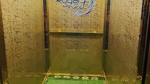 An elevator with a green carpet and a sign that reads "Royal Nest". - Hotel Royal Nest (Ajmer)