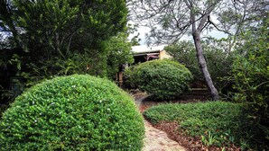 Un sentier de jardin bordé d’arbustes et d’arbres aux formes soigneusement taillées.