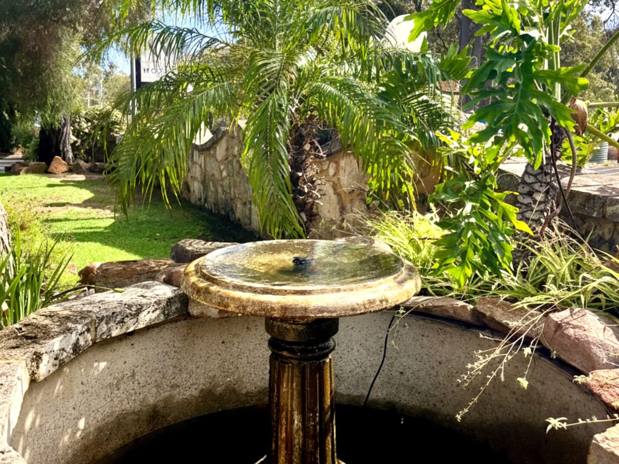 A birdbath in a garden with a stone wall and greenery.