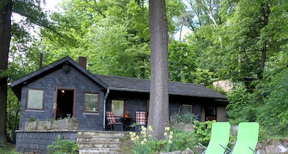 Forest hut with a view