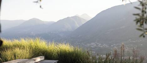 4 indoor pools, 2 outdoor pools, pool umbrellas, pool loungers