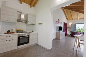 Fridge, oven, stovetop, electric kettle