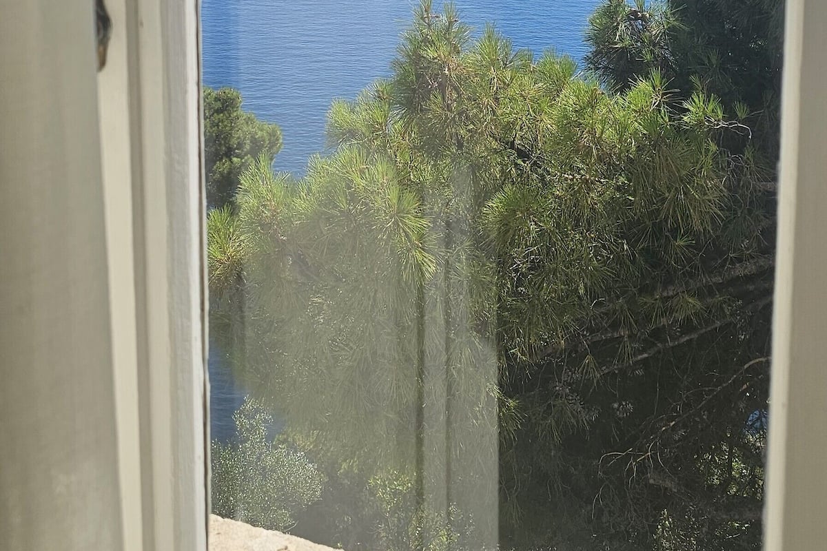 Vista a través de una ventana de una zona costera con cielos despejados, mar tranquilo y abundante vegetación.