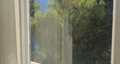 Dubrovnik Hotel Akademis Äingrija