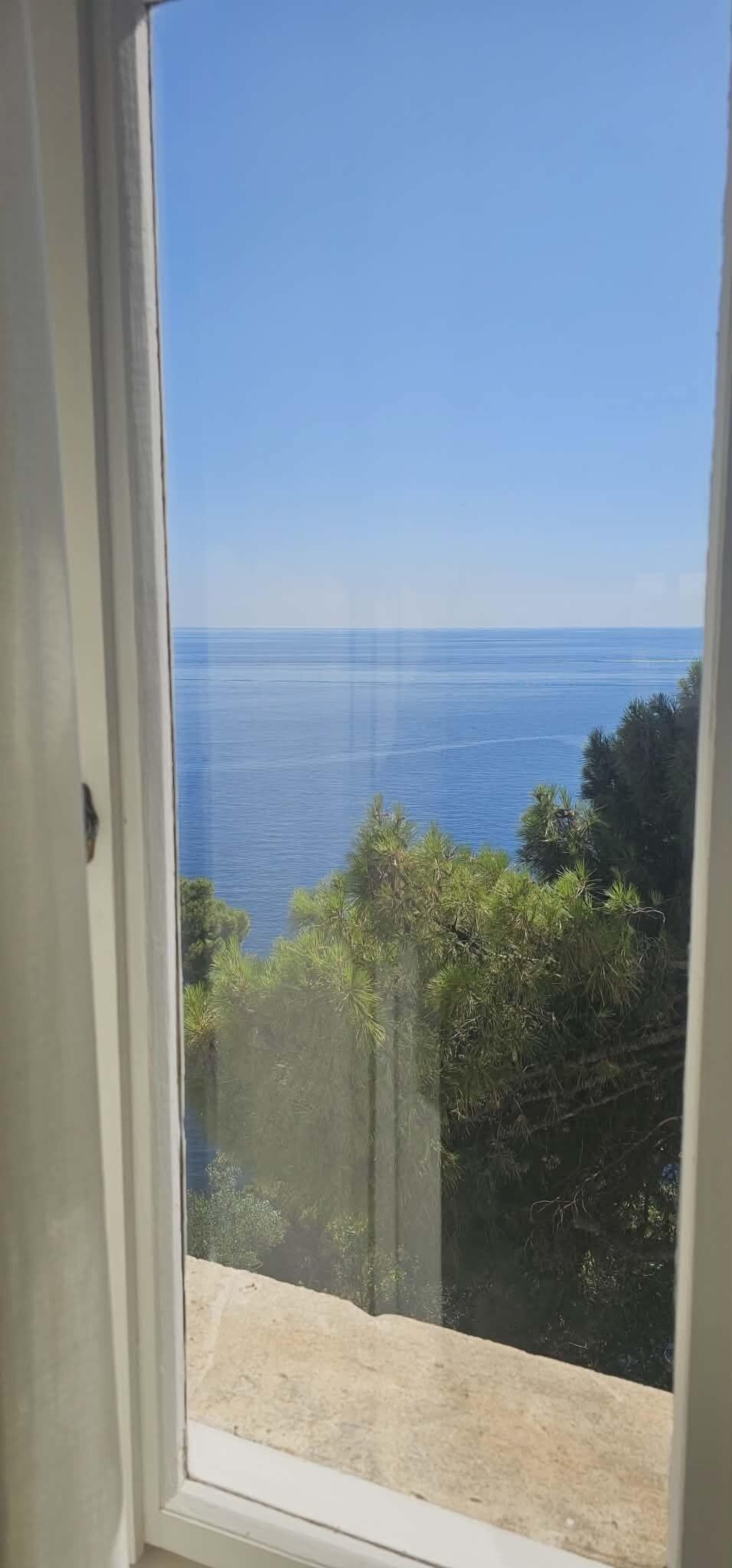 Vista a través de una ventana de una zona costera con árboles y cielo despejado.