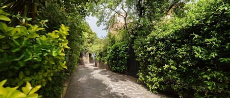 Terrain de lâhĂ©bergement