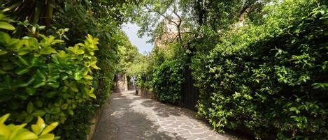 Áreas de la propiedad