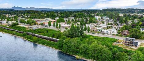 A riverside town with a train passing by, surrounded by greenery and residential buildings.
