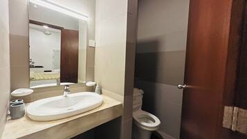 Shower, hair dryer, bidet, towels