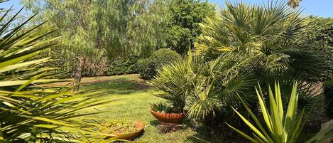 Terrein van de accommodatie