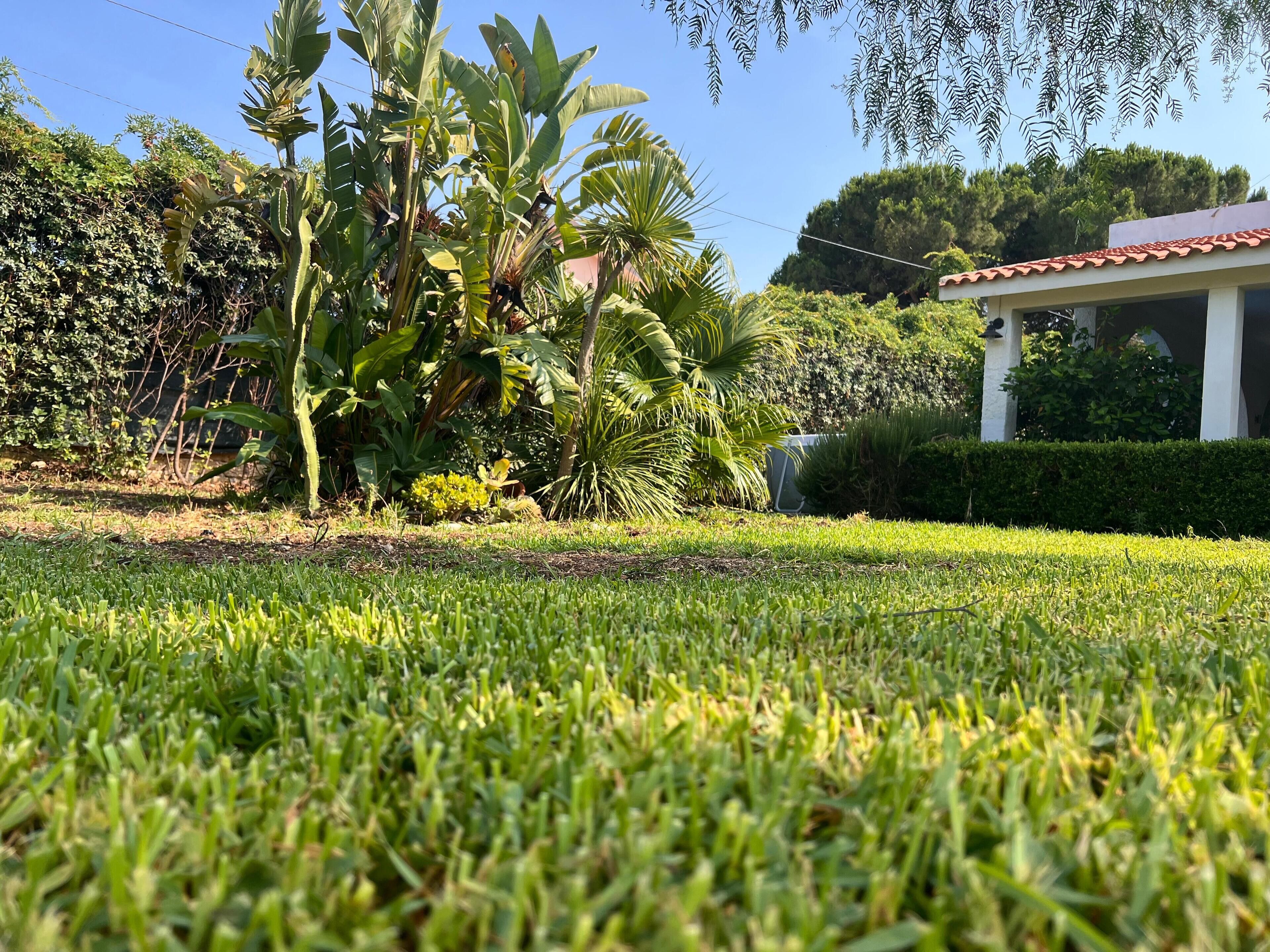 Un jardin luxuriant, avec une variété de plantes, et un bâtiment doté d’un toit rouge.