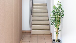 Una escalera con peldaños alfombrados en color beige y una planta en maceta a un lado.