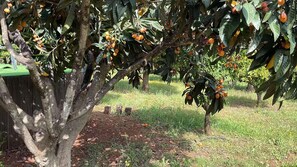 Maison | Vue depuis l’hébergement