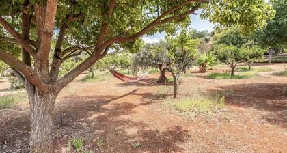 Country House Silves Private Pool Nature