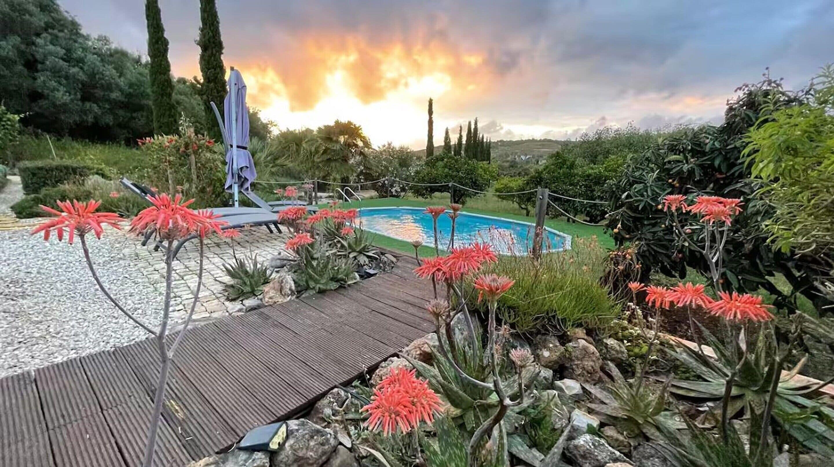 House | Pool | Indoor pool, outdoor pool