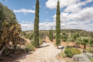House | Garden - Country House Silves Private Pool Nature (Silves)