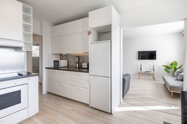 Fully equipped modern kitchen with access to the living room.