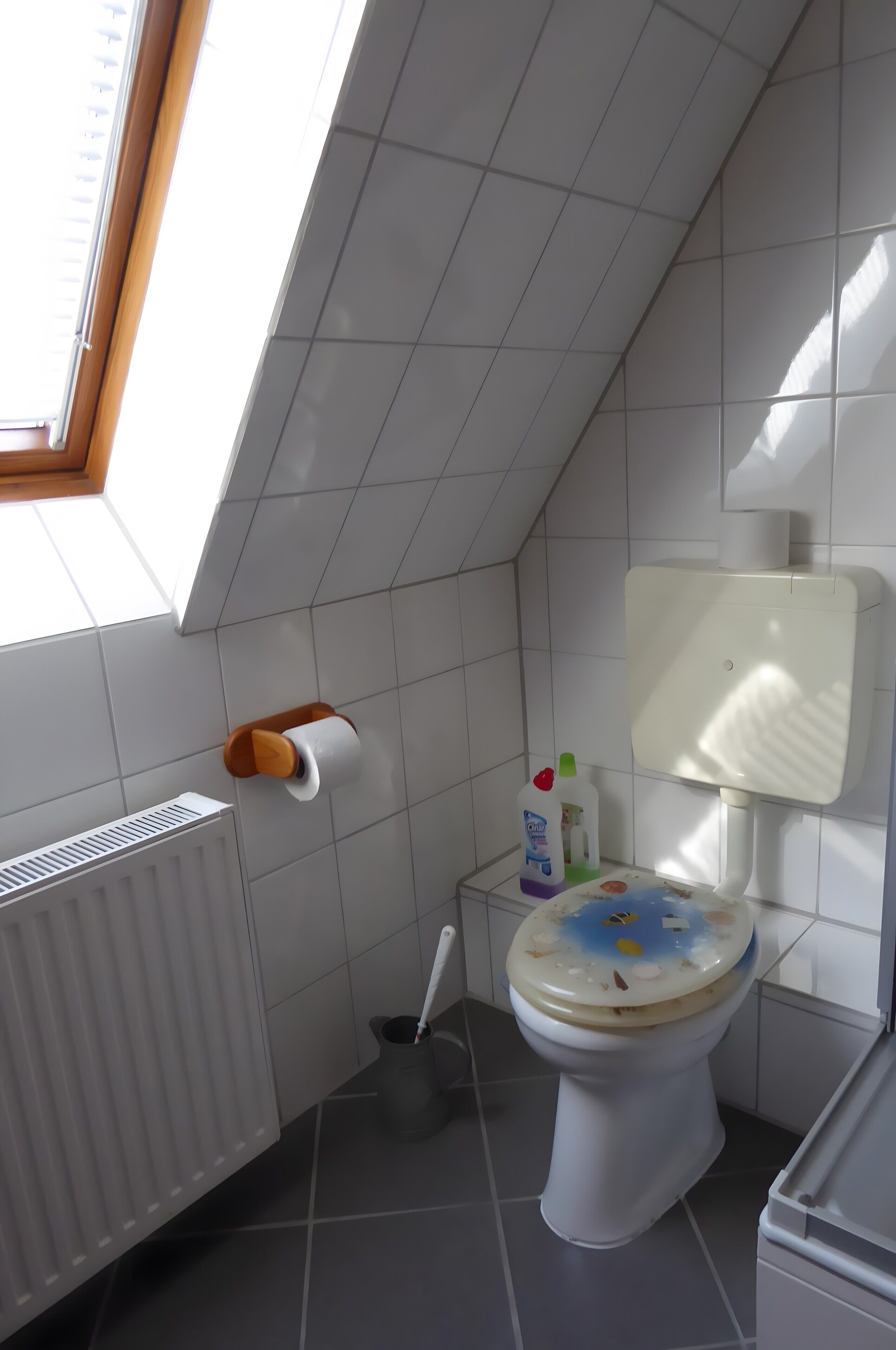 A bathroom with a skylight, a toilet, a radiator, and a cleaning product on the floor.
