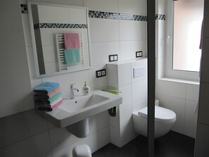 Shower, hair dryer, towels