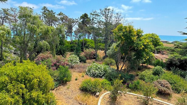 Un jardín ajardinado con diversos árboles y arbustos, un cielo despejado y una vista distante del mar.