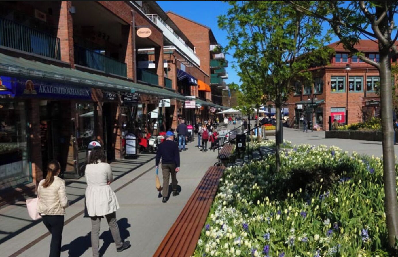 A pedestrian street lined with shops and a flower bed.
