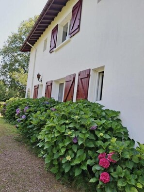 Yksityiskohta ulkoa