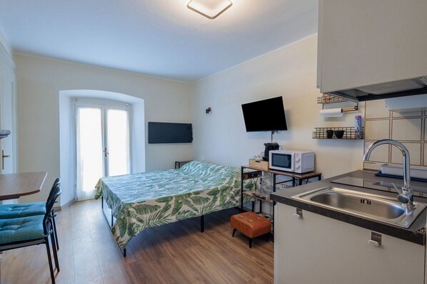 A compact room with a bed, a desk, a television, a microwave, and a sink.