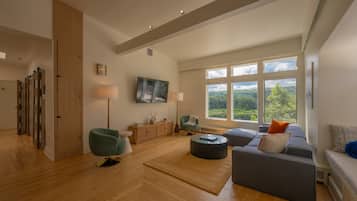 Smart TV, chimenea y oficina