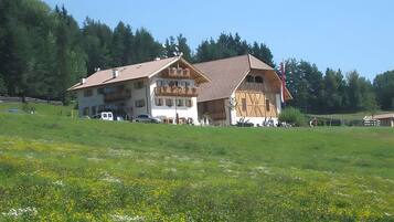 Esterni