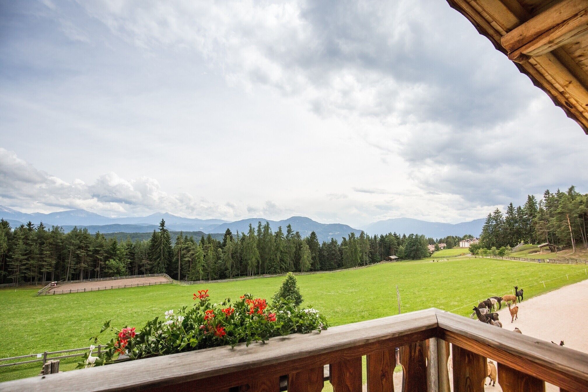 Áreas de la propiedad