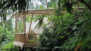 Une structure en bambou dotée d’une plateforme et d’un auvent, entourée d’une végétation tropicale luxuriante.