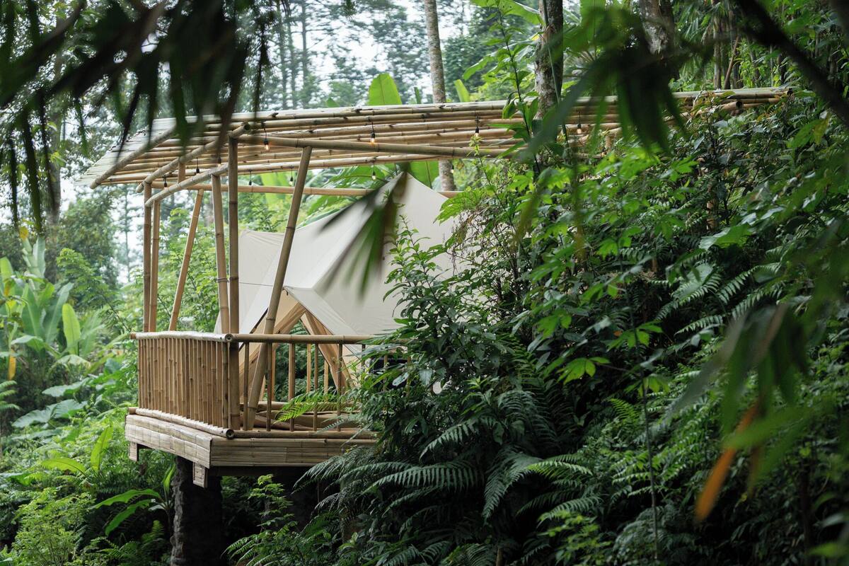 A bamboo structure with a platform and a canopy, surrounded by dense tropical foliage.