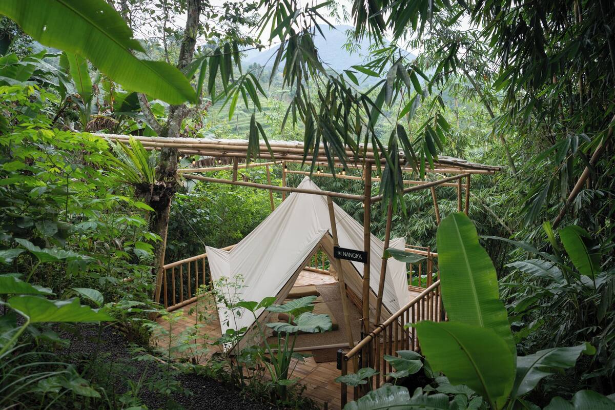 A bamboo structure with a white tent, surrounded by dense tropical foliage.